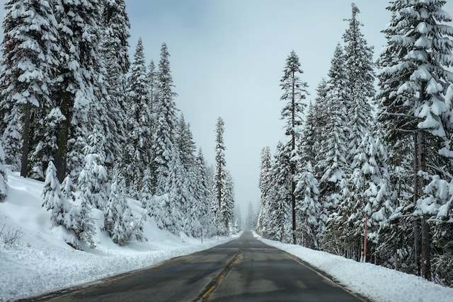 Traveling for Christmas?  Listen to a winter-themed audiobook with the family for the journey.  See our suggestions.  #roadtrip #family #audiobook ow.ly/S72950LIIlH