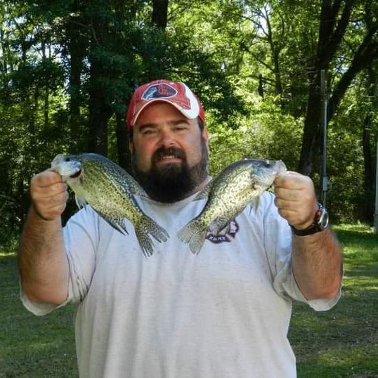 DavidCollins55 tweet picture