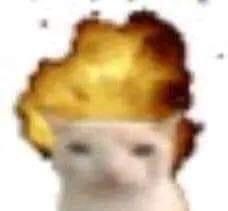 ⋆ 8.3K ⛄ | buzón !! tweet media