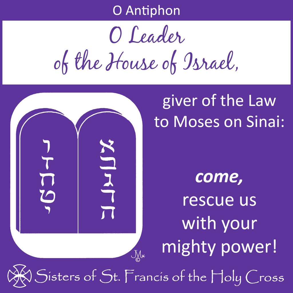 gbfranciscans's tweet image. Evening #prayer
#OAntiphon #OLord #OAdonai #Magnificat