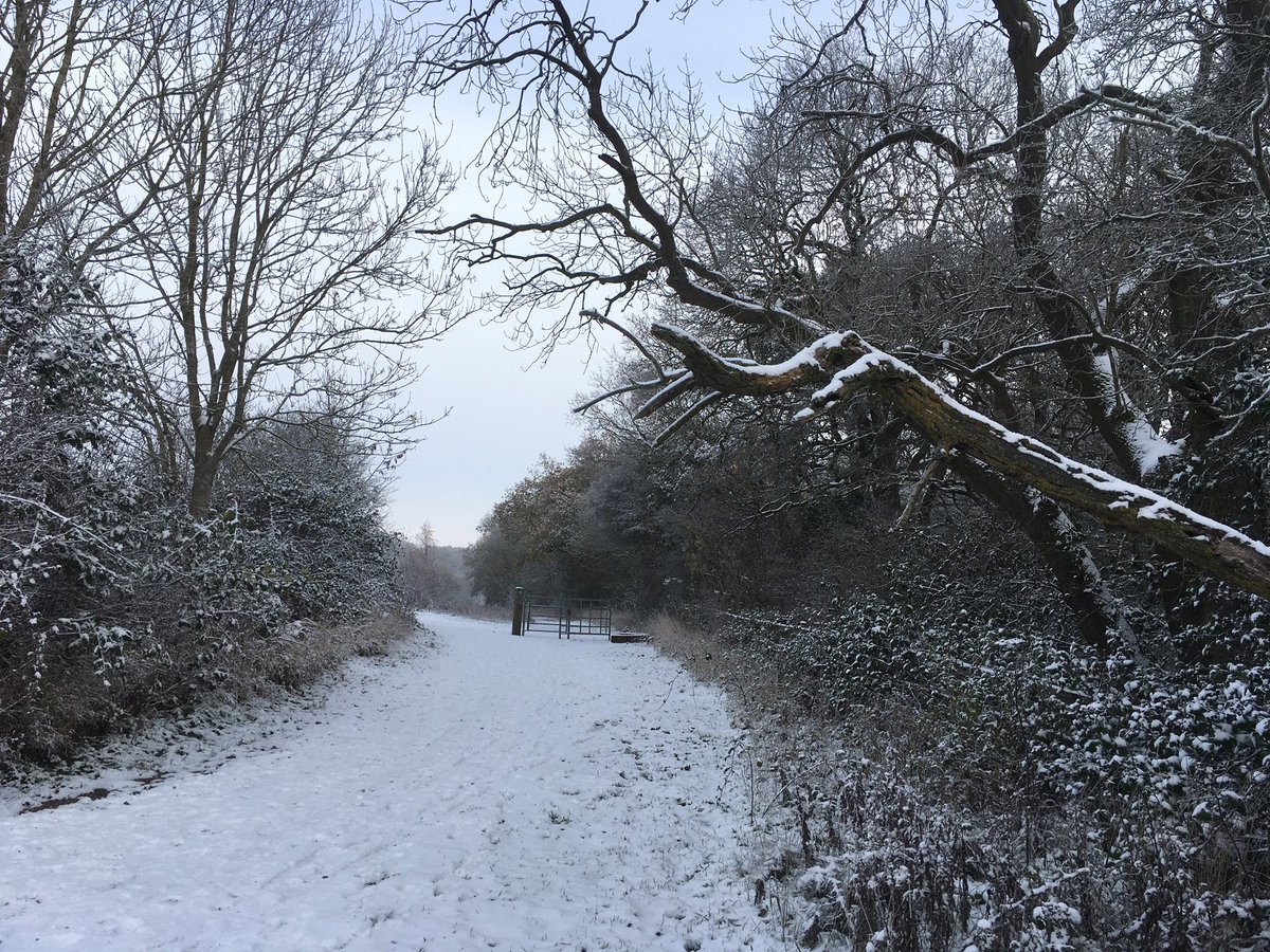 ExtraMileTour's tweet photo. Do you have a favourite #uksnow shot to share? 

#travel #travelphotography #landscapephotography #bedfordshire #cranfield #rectorywoods #miltonkeynes #bedford https://t.co/xaK9CTu4VY