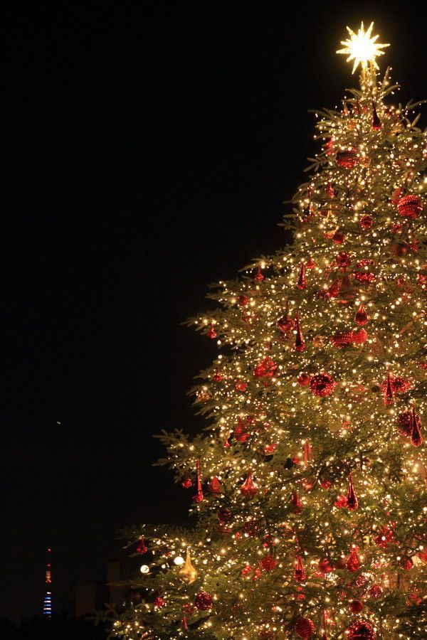 andrea ♡ tweet media