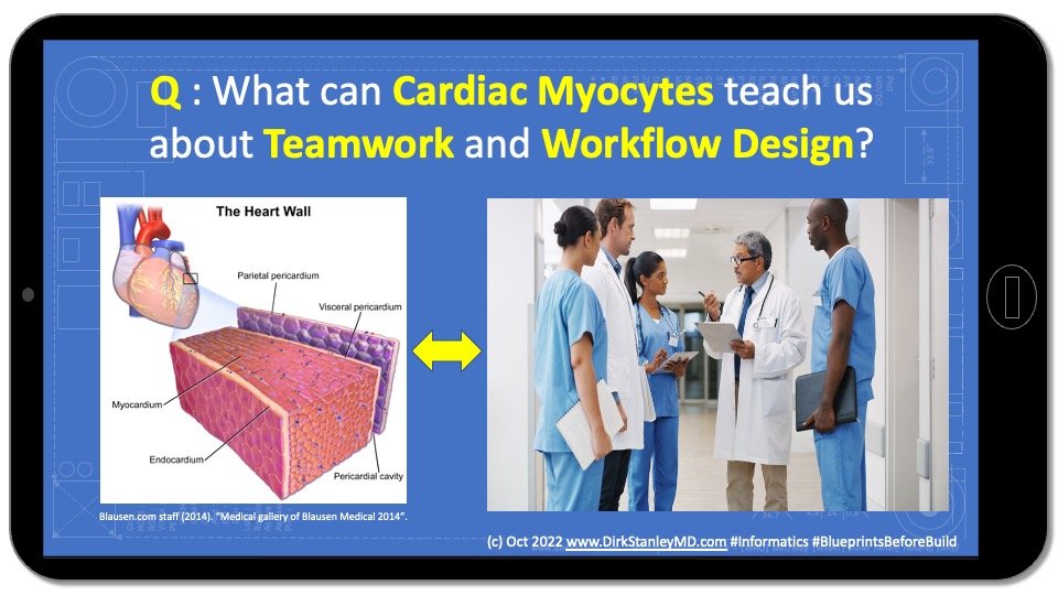 dirkstanley's tweet photo. DirkMD - #CMIO Perspective: What can Cardiac Myocytes teach us about Teamwork and #Workflow Design? ... https://t.co/l1FZtMmqpu 
#CNIO #CNO #CMO #CIO #HealthIT #Informatics #design #BlueprintsBeforeBuild #FOAMed #hcldr #hcreform #SoMeDocs https://t.co/Jp0xkzhN3e