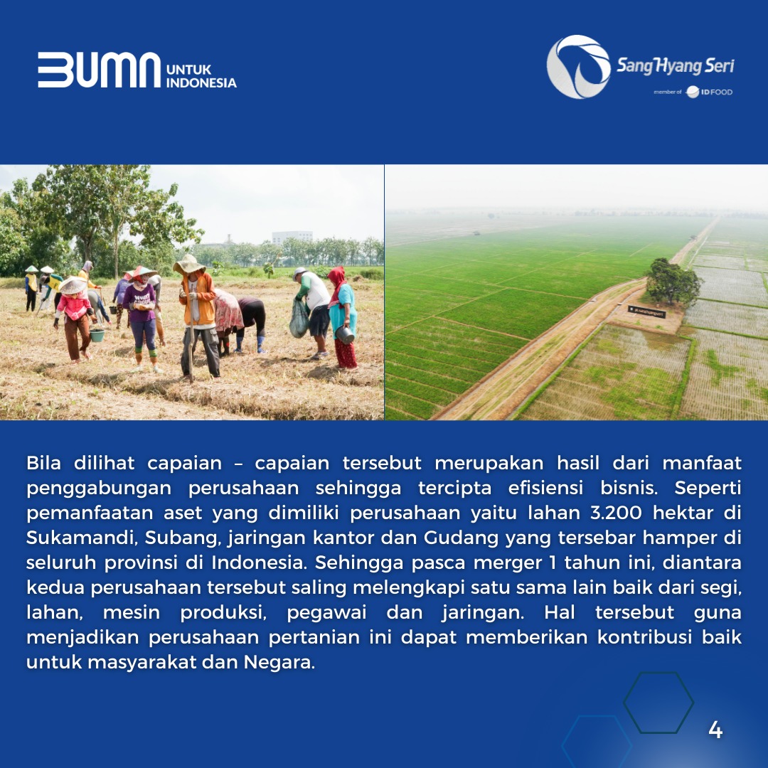 BUMN_SBU_Maju's tweet photo. Sobat BUMN, yuk simak pencapaian positif PT Sang Hyang Seri setelah 1 tahun menjadi member dari ID FOOD. #SHS1TahunPascaMerger #PTSHS https://t.co/bA9fdl2S7e