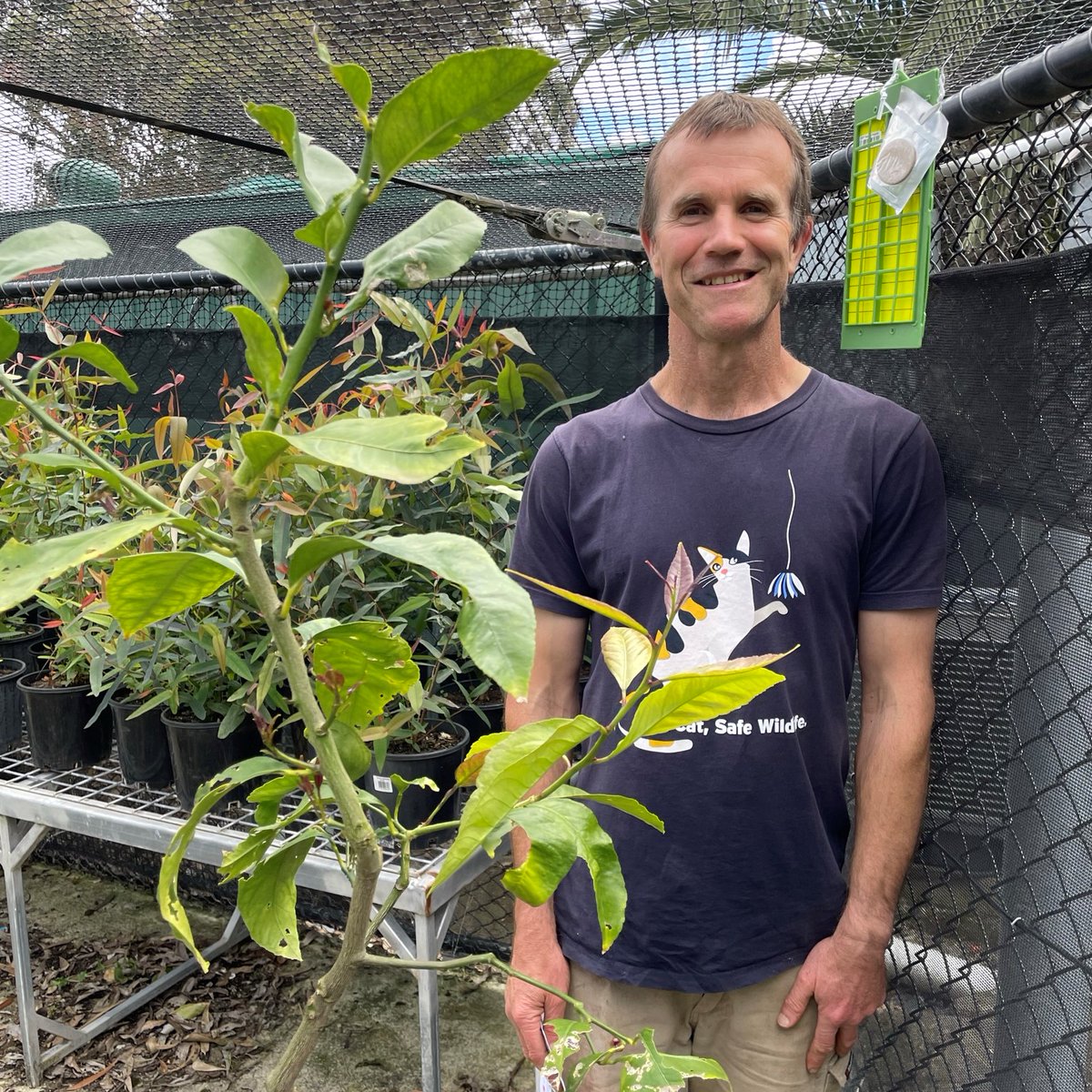 Thank you Early Detector Network volunteers for taking part in our sticky trapping surveillance in 2022! 🍊 #citruswatch 

Visit here to learn more: citrusaustralia.com.au/quarantine-bio…
