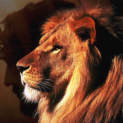 HalleyXclee's tweet photo. #NewProfilePic https://t.co/38tcjdAaZw