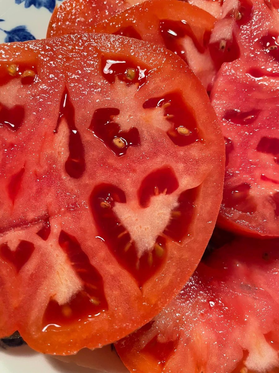 Sunday Loveday Check In:  
Did you do something for yourself or someone else to make them feel loved last week? Maybe you’ll do something this coming week? Let’s hear your stories. You never know how your words can help someone in our family help themselves or someone else. 💜