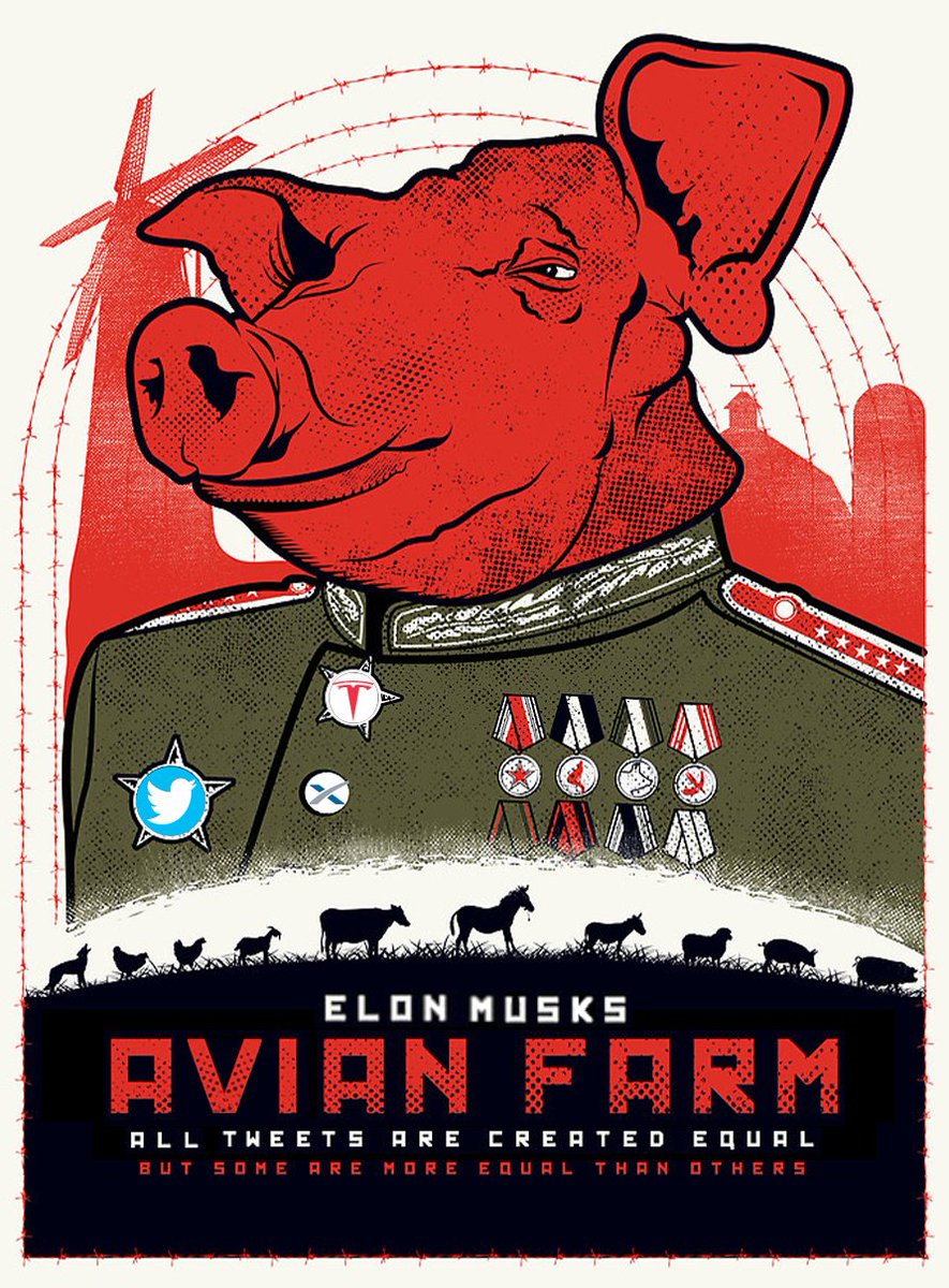 Jeff Shafer tweet media