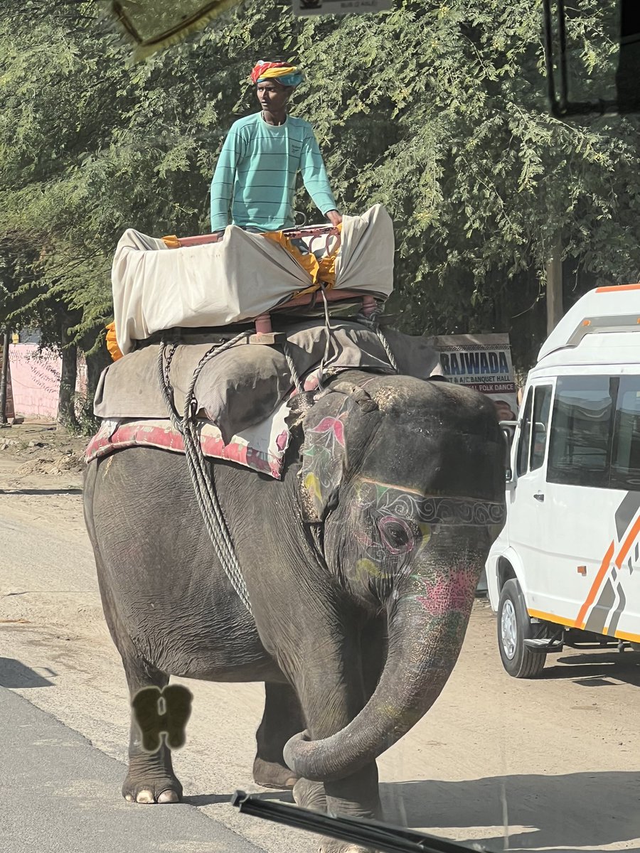 I’ve had a fabulous time in India and I can’t wait to go back soon. It’s been such a rewarding, enriching experience being a #MonashGIG group leader, especially working with such a wonderful group of students &amp; staff. I’m grateful for the opportunity. #MonashExperience