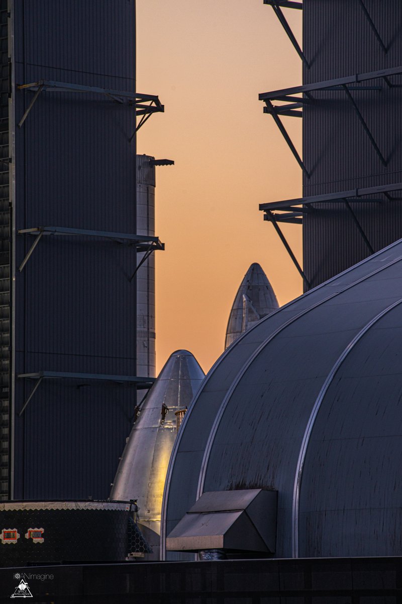 Starbase Surfer tweet media