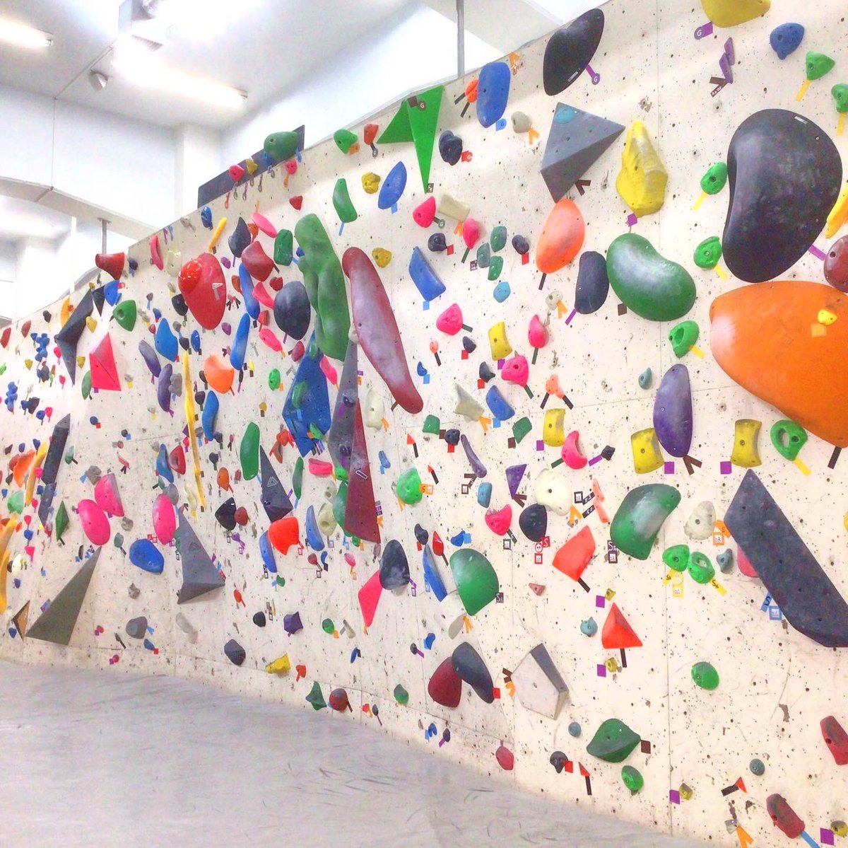 BoulcomTokyo's tweet photo. 変則的なホールド替えになりますが、ご来店の際はご注意下さい。
残り少ない2022年もよろしくお願い申し上げます
#boulcom_gym #boulcom #boulcom東京 #ボルコム東京 #ボルダリング #ボルダリング女子 #ボルダリング初心者 #ボルダリングキッズ #クライミング #ホールド替え #東京 #大手町 #神田 https://t.co/jwqi6UiW6s