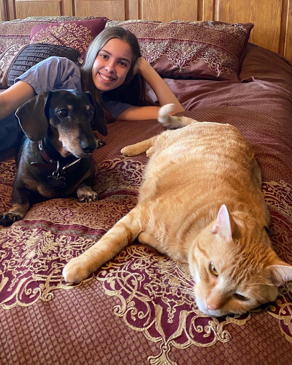 LilOkie76's tweet photo. Happiest 5th #birthday to our sweet #ThomasKitty! His birthday is today & his 1 year adoptiversary is tomorrow! I donβt know much about his first 4 years of life. But I certainly hope to continue to bless him in his remaining years just as he is blessing us! #CatsOfTwitter π±β€οΈ https://t.co/Harv8An4hj