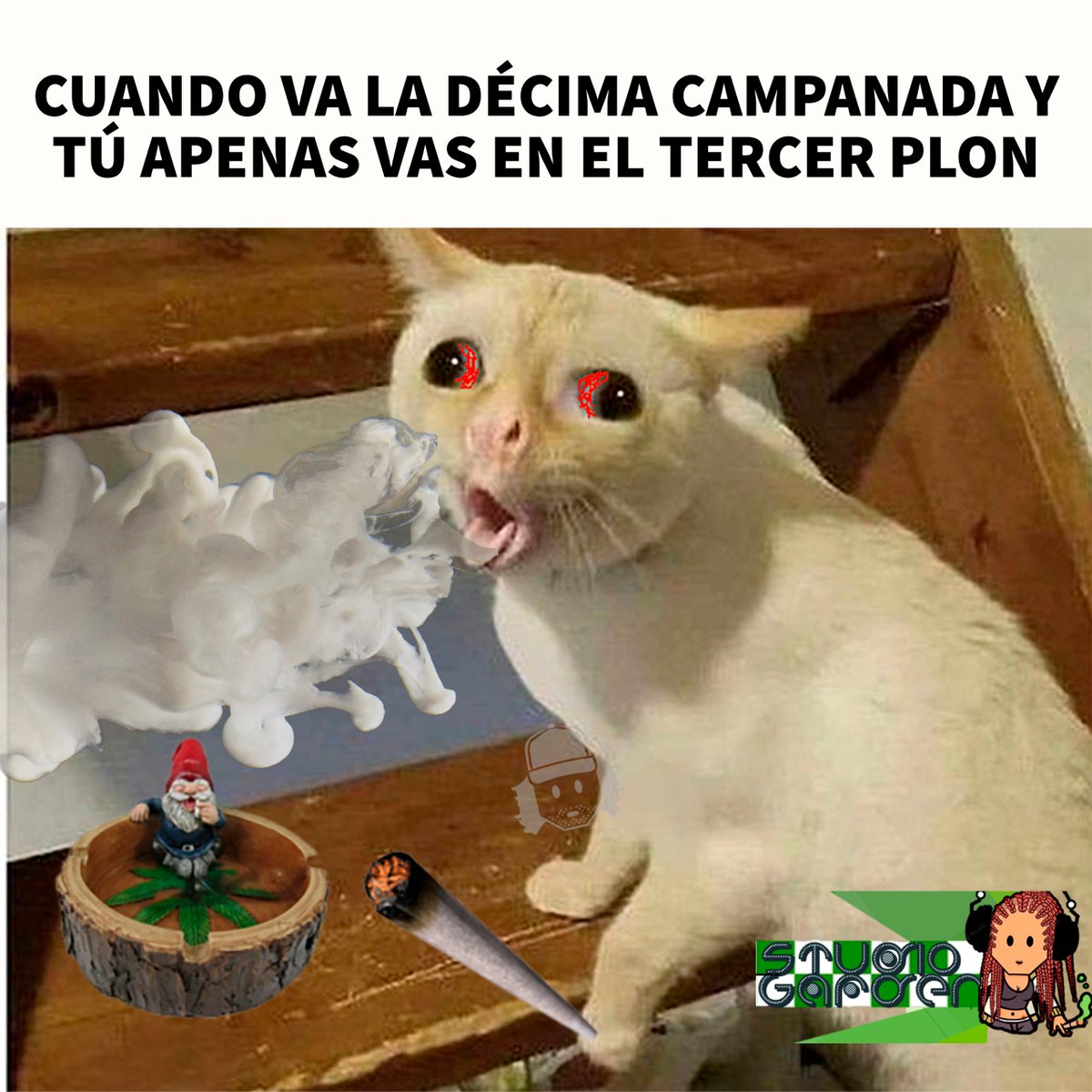 studiogardencol's tweet photo. #meme #memesespañol #memes #memeweed #laseñalmaspsicoactiva🌱 🔥 #garden 💚 #memes2022 https://t.co/H8PdLHffPU