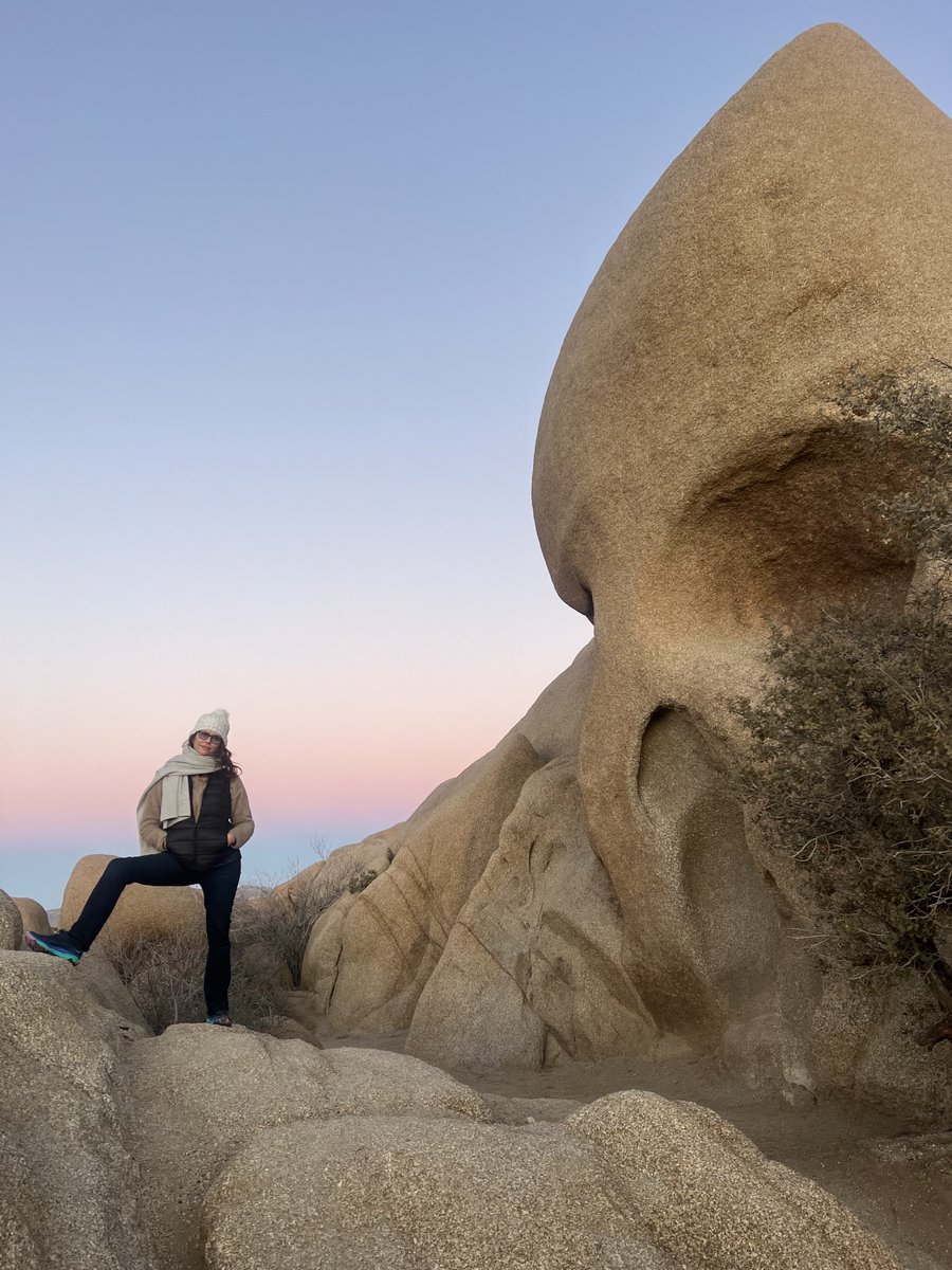 Bradley Whitford tweet media