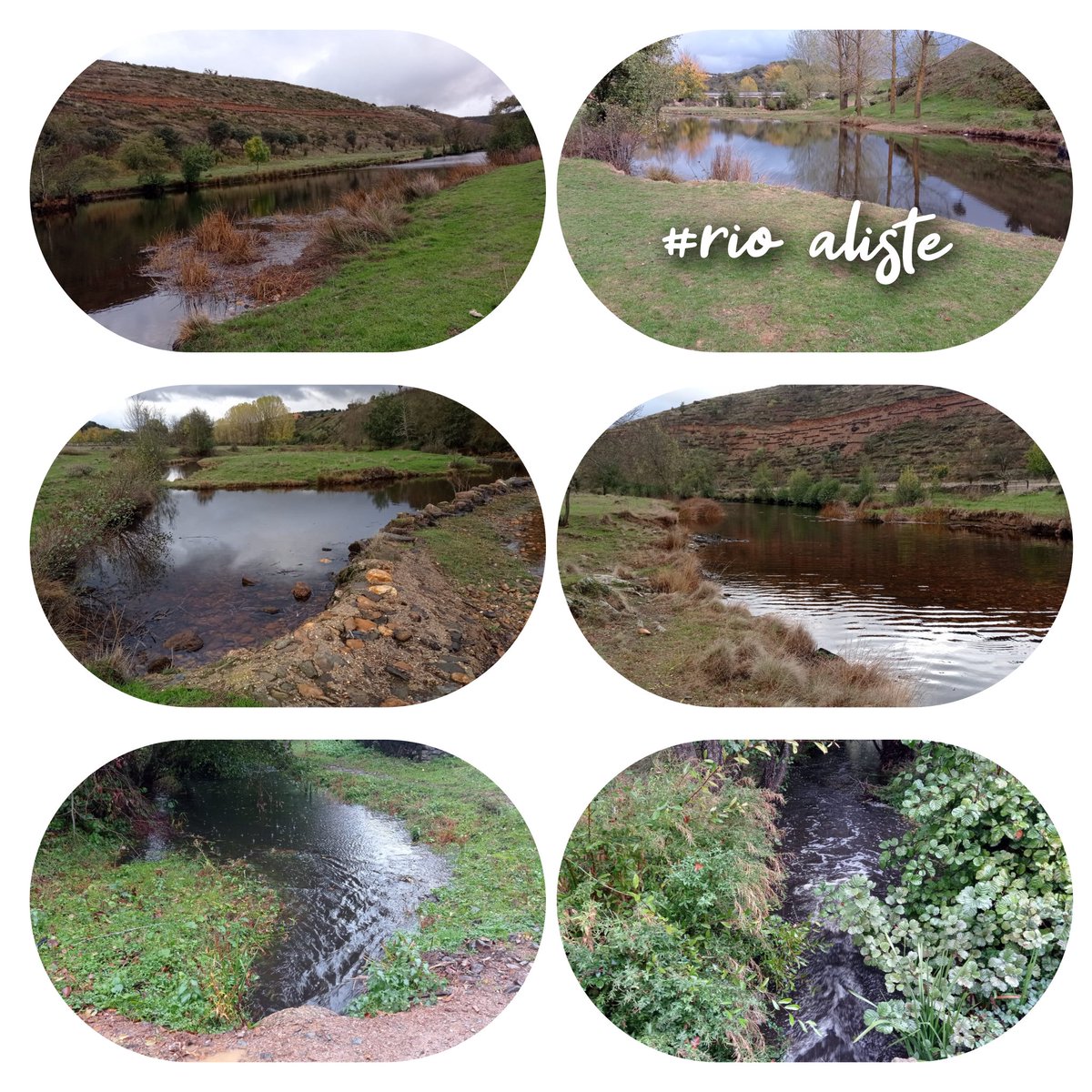 rio aliste (@rioaliste) on Twitter photo 