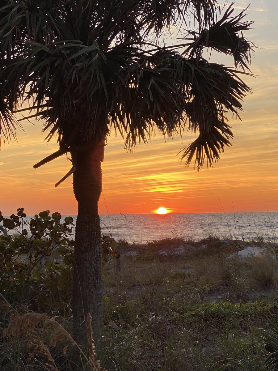 Kelli Johnson tweet media