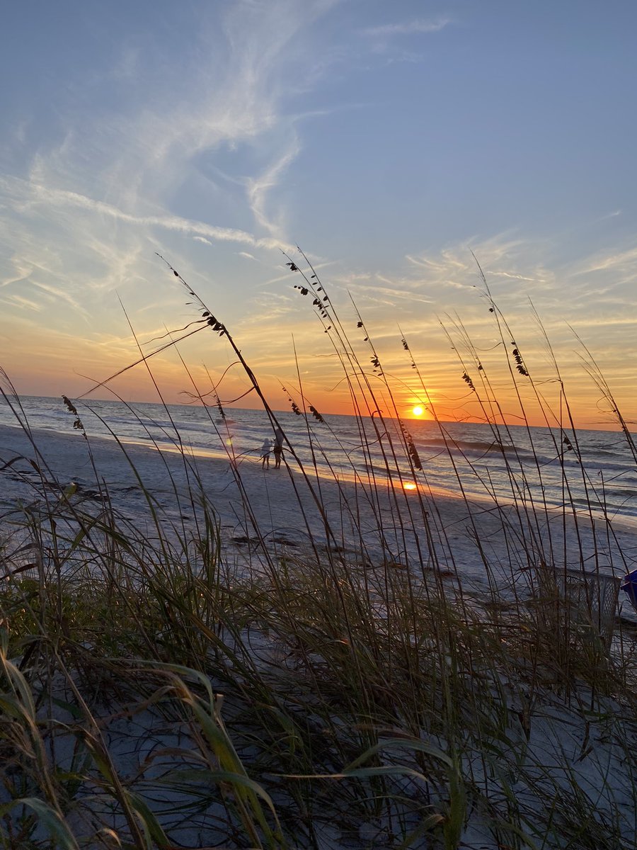 Kelli Johnson tweet media