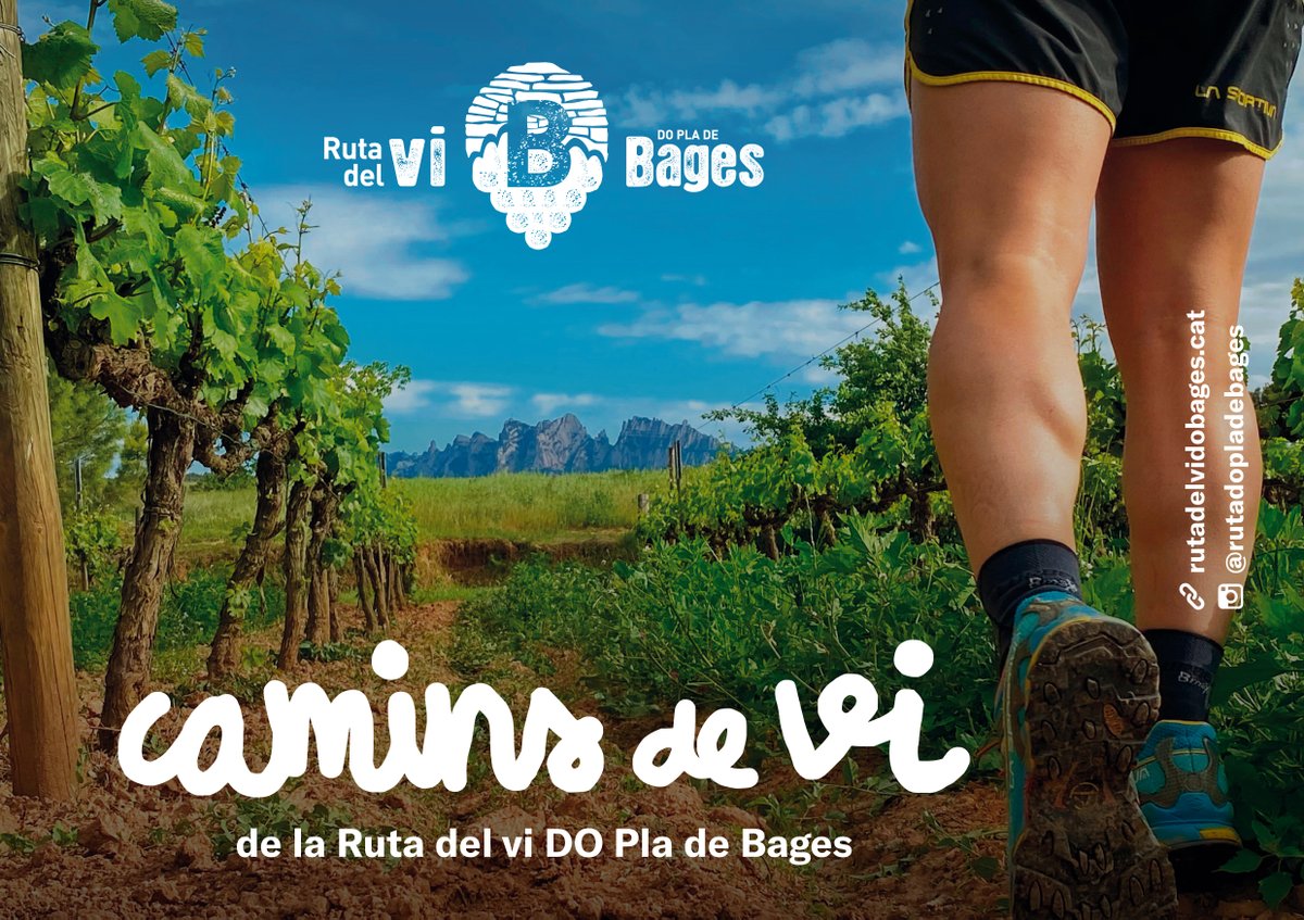 Camins de Vi🍷5 itineraris per córrer i descobrir l’entorn, el patrimoni i els vins del Bages

👉5 itineraris circulars des dels cellers amb wine bar de la Ruta del vi DO Pla de Bages

💪Promou l'esport vinculat a l'entorn natural, el patrimoni rural i el producte local