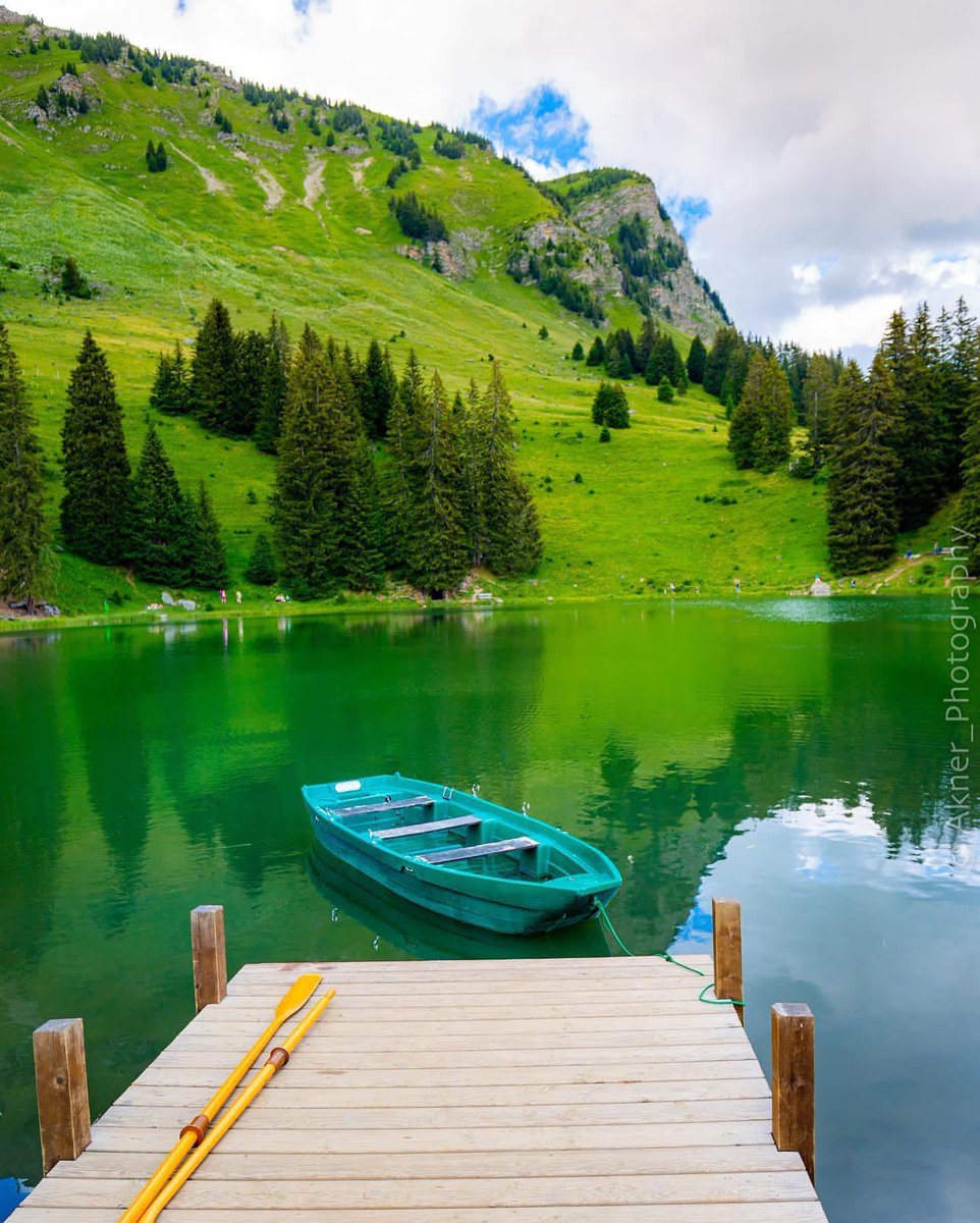 views_magical's tweet image. Nature is beautiful 🌹❤️