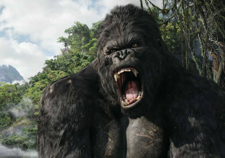 mideysmith01's tweet photo. Most expensive movies ever made 🤯

THREAD: https://t.co/CsiPMNfo8O