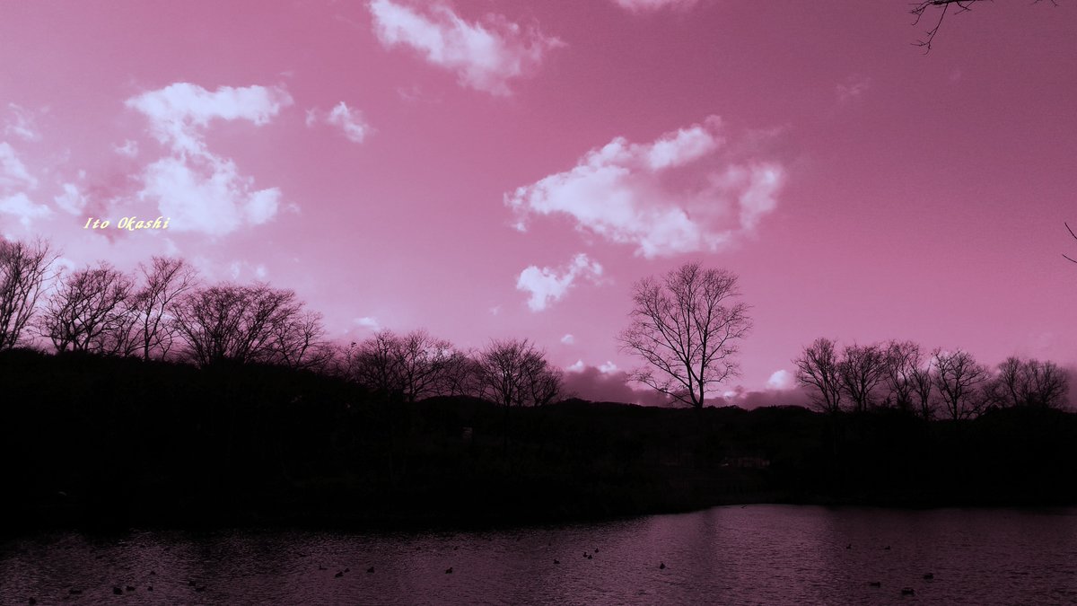 ピンクなお空🎵
#写真を撮ってる人と繋がりたい