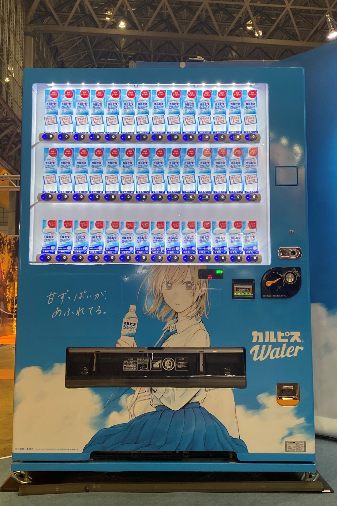 【限定品】　カルピス　アオのハコ　キャンペーン品 限定品】 カルピス アオのハコ キャンペーン品