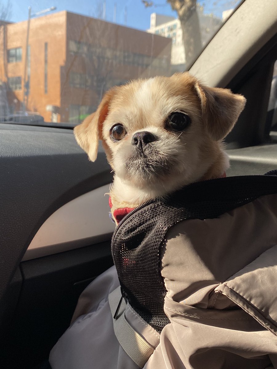 inninninnin's tweet photo. 갸우뚱 https://t.co/iG6dsYH1PR