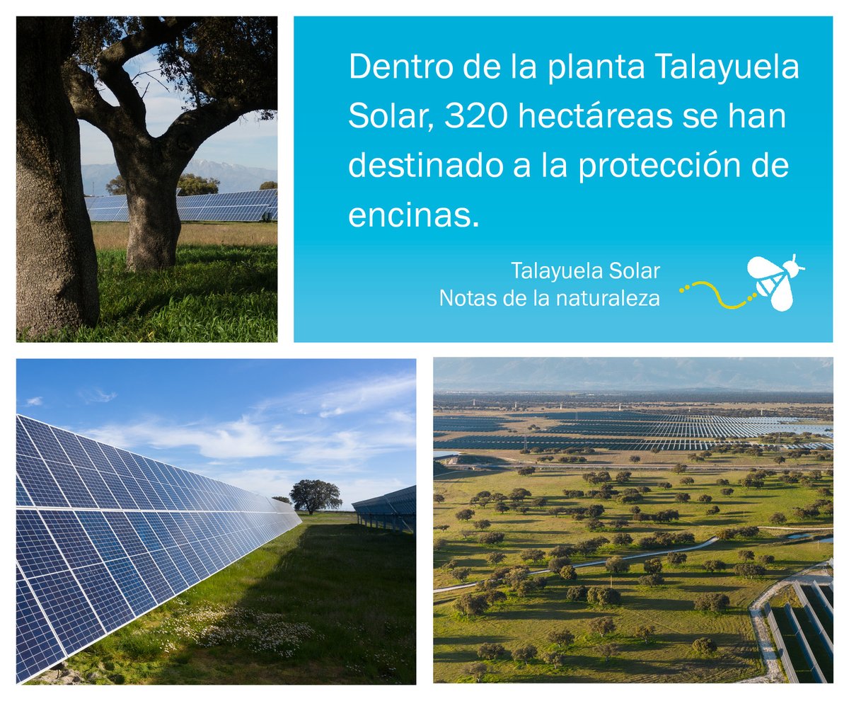 StatkraftES's tweet photo. #TalayuelaSolar con sus 300 MWp abastece con energía limpia a 148.000 hogares durante un año y se ha convertido en un referente en sostenibilidad, reconocida con el Sello de Excelencia de @UNEFotovoltaica 🌳☀️
¿Quieres saber más? 👉 https://t.co/jv9RFv6adI https://t.co/lEvhrIM1el