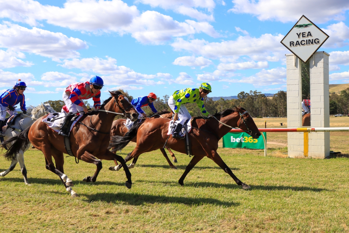 Picnic Racing on Twitter "Congratulations to trainer Michael Krikas