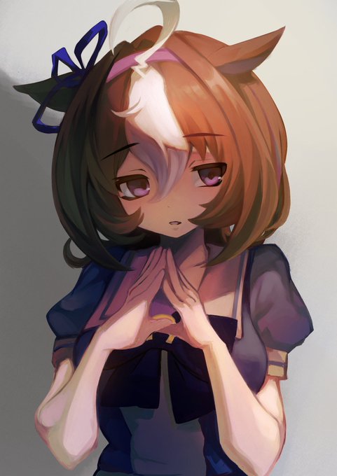 メイショウドトウ 
