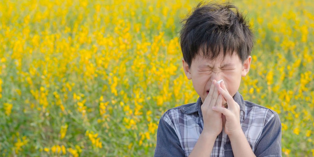 ecology_journal's tweet photo. According to #Rutgers #University #research, #climate #warming causes runny nose and itchy eyes.
Submit your #manuscript: https://t.co/oyp54pB7Q7
#Washington #article #review #editorail
#ecology #toxicology #Global
#news #trending https://t.co/NP90SwXmxE