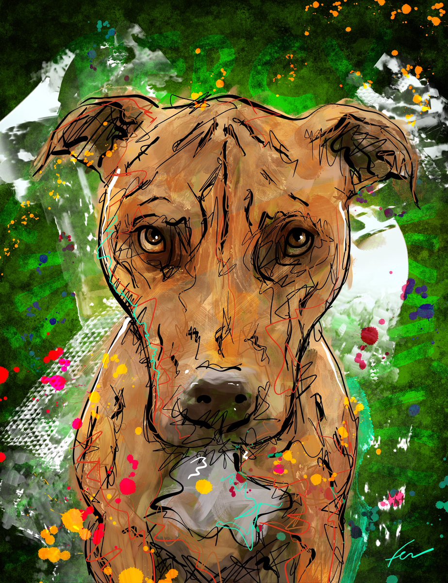 Fer Caggiano tweet media