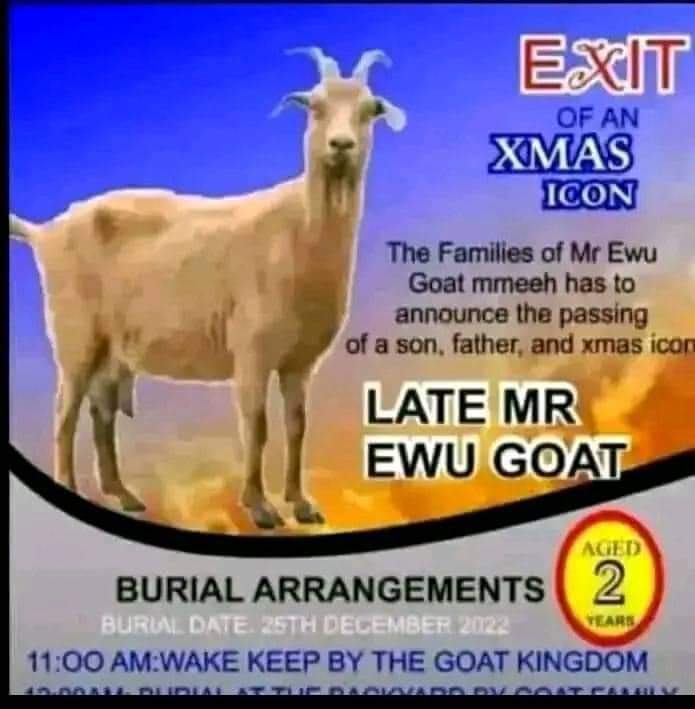 MurphyJoeOffic1's tweet photo. Chai so painful Goat https://t.co/JRb2EOLfvB