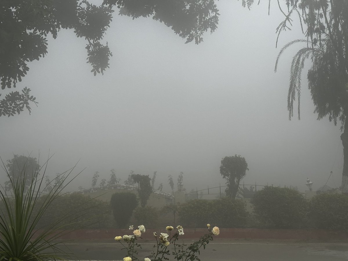 Welcome the first FOG of the season 
Winter ❄️ is coming 🥶 
#winter #2022 
#staysafe 
@baghpat_ #baghpat