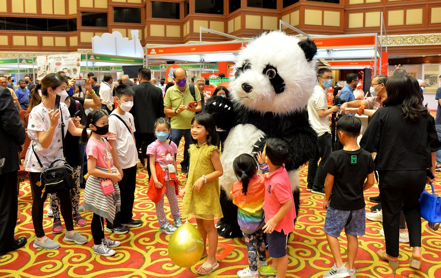 Далина кимфяк китай. Дай китай. Дай китай. Daisy dai girlnextdoor. Китайская мумия синь чжуй.