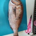 ツイートに含まれる画像