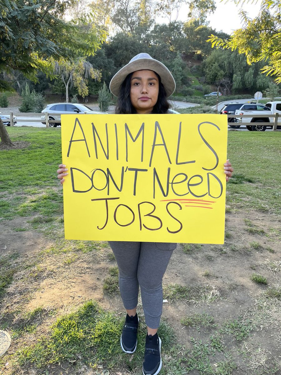 latimes's tweet photo. Activists protest Griffith Park Pony Rides on the attraction's final weekend https://t.co/3KTHL5x8x0 https://t.co/nE5wYc1h7D