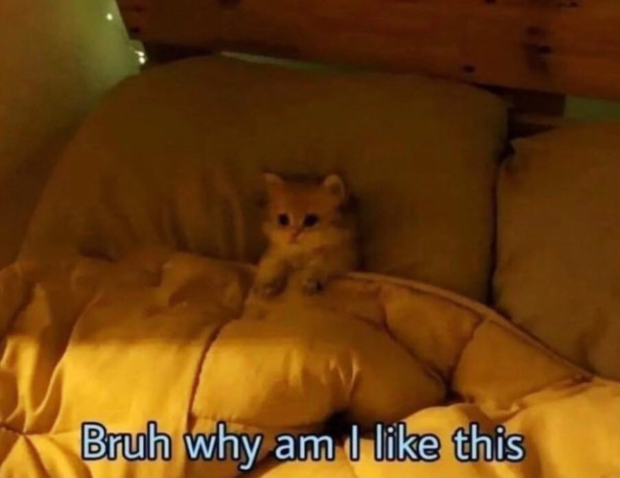 Me overthinking and doubting myself at 3am