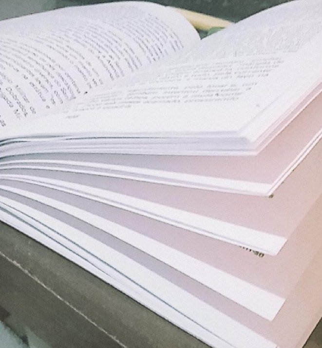 cardiganstudy's tweet image. tomorrow goals*ೃ

• Principais obras (6 autores) - ?
• Festa j*nina e aspectos solicitados - livro 
• Folguedos - livro
• Cr*nd*ces e sup*rst*iç*es - ?
• Medicina Caseira - ?
• Literatura Oral - livro