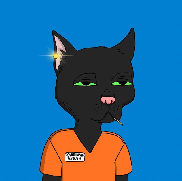 AndyTheNguyen's tweet photo. And of course I joined the gang gang @GutterCatGang https://t.co/ezIKYIbAl3