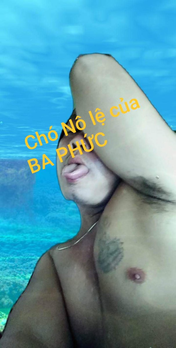 Chó to mập , mày xứng đáng đc BA hành lắm Con Chó Nô lệ