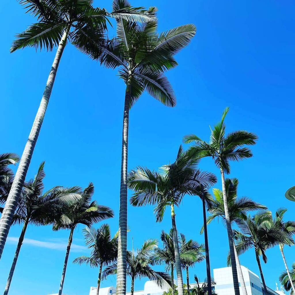 ☀️☀️☀️🌴🌴🌴
Ain't sunshine the best depression cure☺️