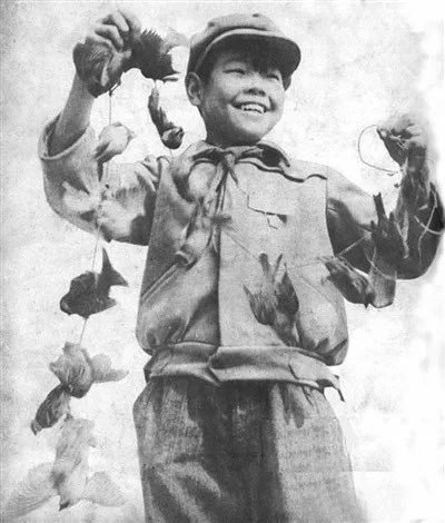 那年
1958
1960
何必呢 三分功七分过
无字碑里说丰年 听取群众意见 https://t.co/VOnekDkntD