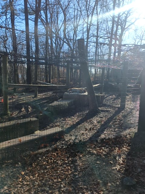 Thomas Ford tweet media