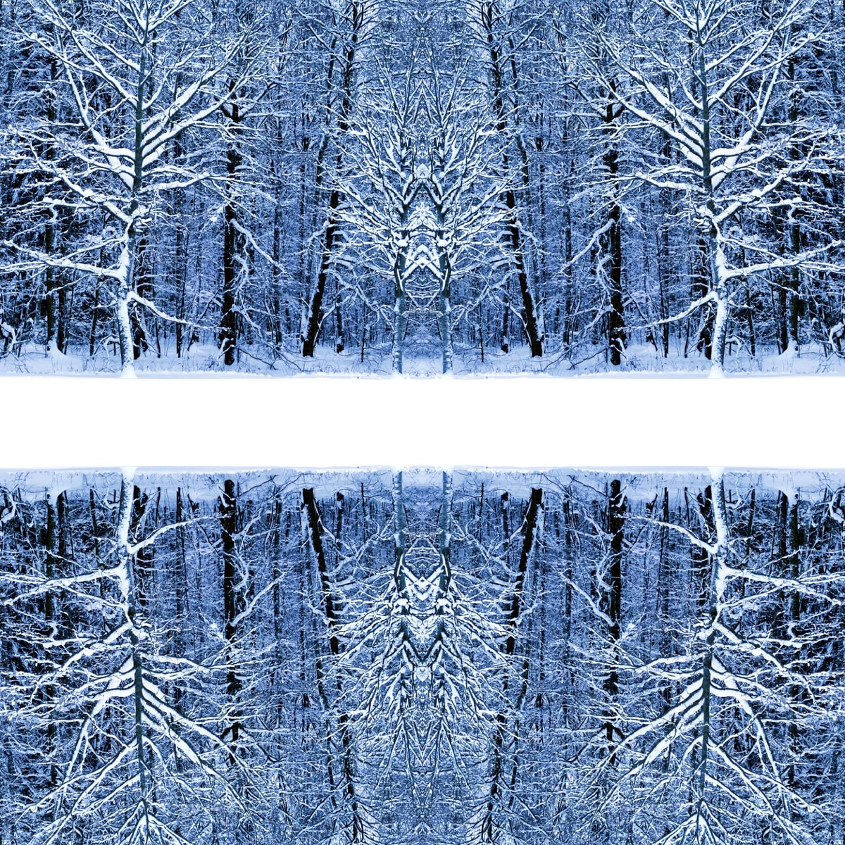 pi_talaslahti's tweet photo. When reverse world in blue
#nature #reverseworld #snow #blue #betula #fashion #art #helterskelter #victory #cold #heatisstrong #merrygoround #power #ancientpower #creature #creaturedesign #spirit #forest #forestspirit #naturephotography #GraphicDesign #designer #multidesigner https://t.co/Ysr5X10UHi