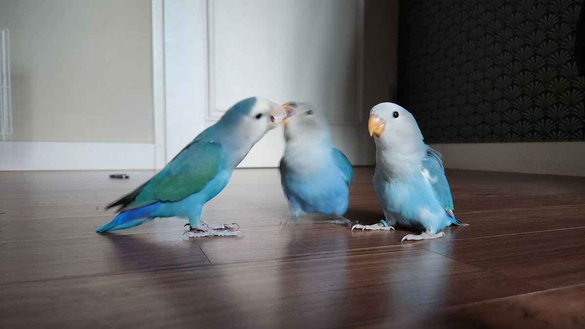 인생 맨 오른쪽처럼 살아야 함
옆에서 무슨 일이 일어나든
이따 마라샹궈 조지는 생각.
이래야 함