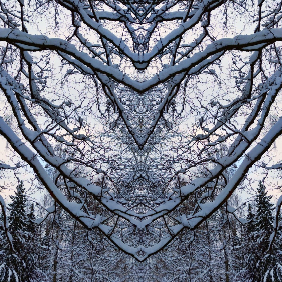 pi_talaslahti's tweet photo. Snow dance bright sky
#nature #Dance #snowdance #fashion #art #helterskelter #victory #heat #heatisstrong #merrygoround #ancient #power #ancientpower #creatures #creaturedesign #atthegate #spirit #forest #forestspirit #naturephotography #graphicdesign #designer #multidesigner https://t.co/EQArroKnA1