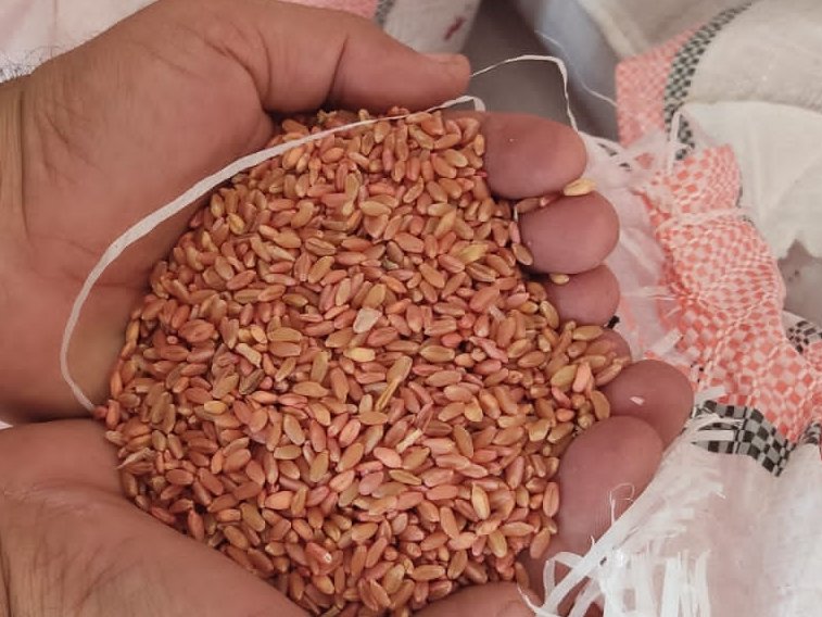 SRTFUND's tweet photo. The SRTF announced the successful completion &amp; closure of phase 4 of its #Food_Security project that served a monthly average of 222,321 consumers who benefited from affordable #good_quality #bread from SRTF-supported milling operations in Northern #Aleppo https://t.co/4HucpHQF6b https://t.co/nI0Vq8iWva