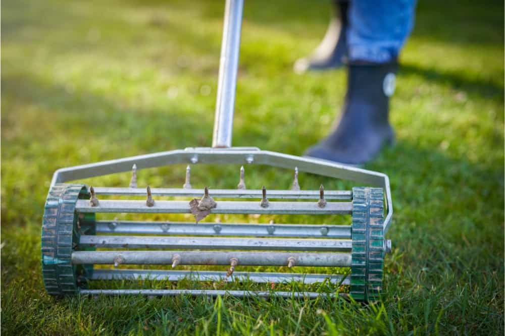 BackyardBella's tweet image. When To Aerate Your Lawn In Utah
#lawncare #lawnmowers #utah #lawnmower #grass #mowon #garden #turf #LawnDad #DadMode #LawnReno #LawnDIY #DIYlawncare #landscaping #landscapinglife
Read the full article
👇👇👇👇👇👇👇👇

backyardbella.com/lawn-care/when…