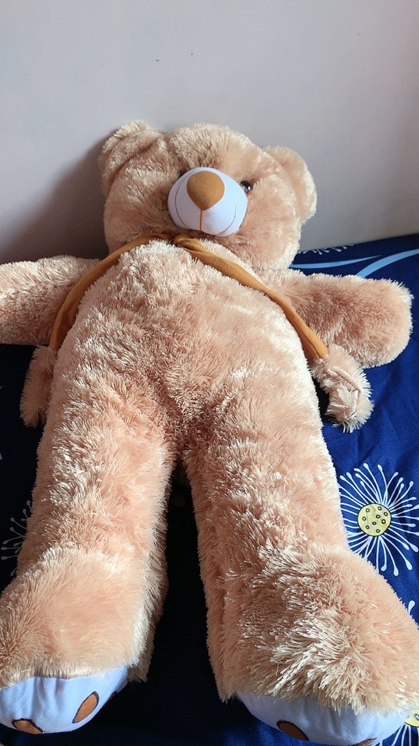 nyariapayaaa's tweet photo. ✨Boneka Teddy Bear

https://t.co/VFMKWF3XMF

. https://t.co/FbjM4p4g35